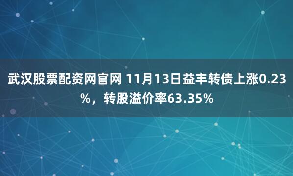 武汉股票配资网官网 11月13日益丰转债上涨0.23%，转股溢价率63.35%
