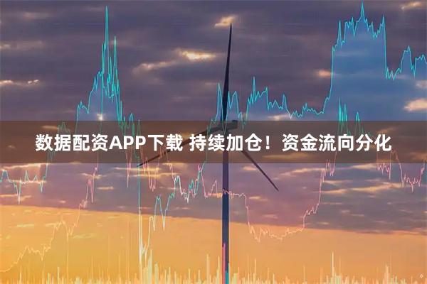 数据配资APP下载 持续加仓！资金流向分化