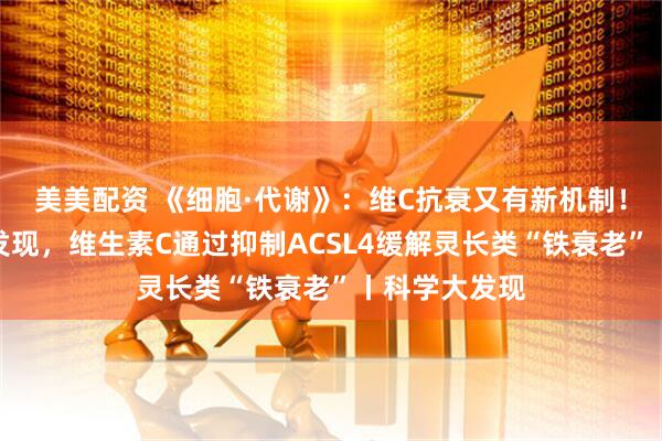美美配资 《细胞·代谢》：维C抗衰又有新机制！中国科学家发现，维生素C通过抑制ACSL4缓解灵长类“铁衰老”丨科学大发现